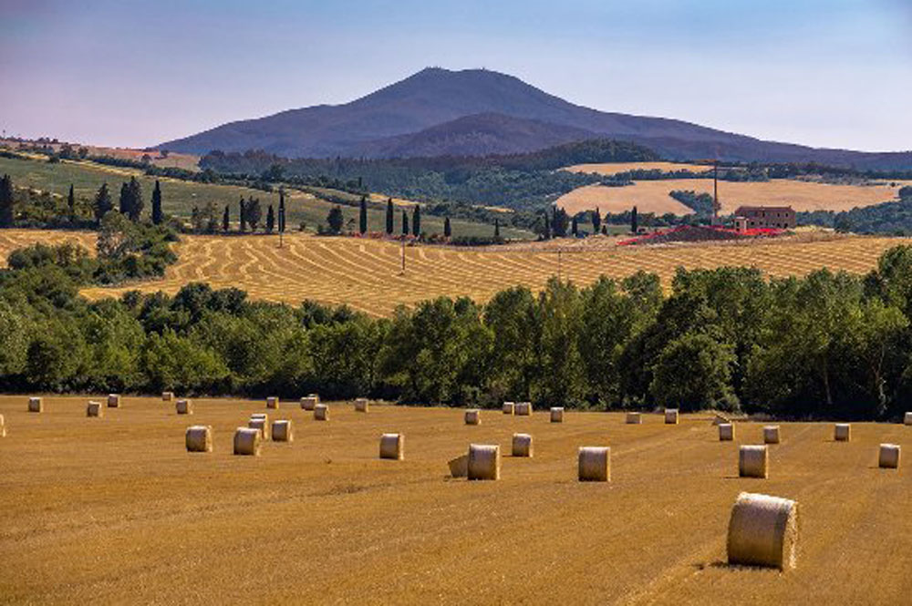 Campagna maremmana con monte Amiata sullo sfondo